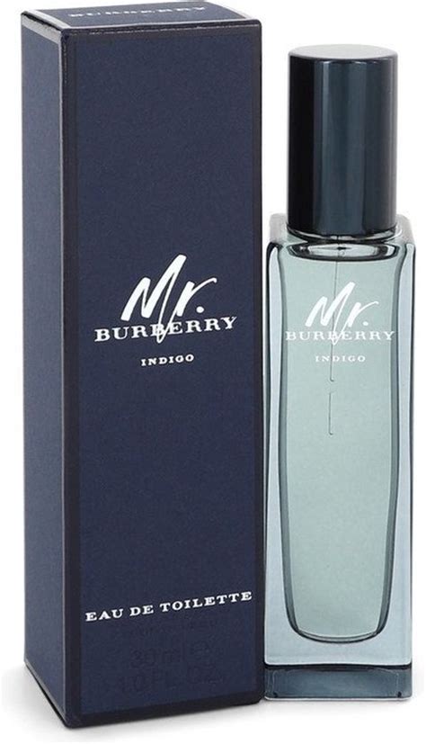 mr burberry indigo eau de toilette spray burberry|mr burberry indigo price.